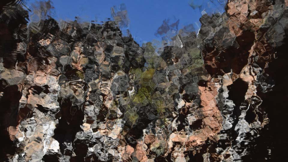 Excursão Peruaçu — foto 5