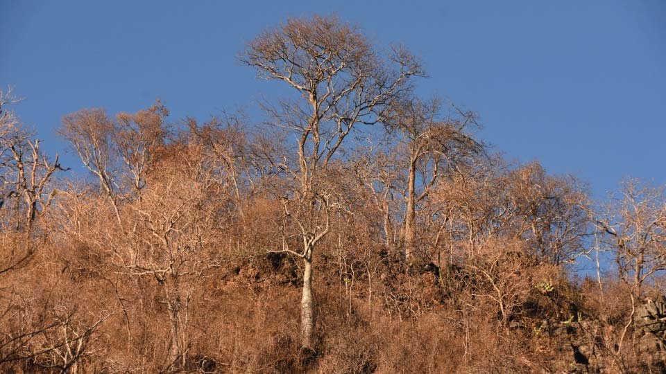 Excursão Peruaçu — foto 44