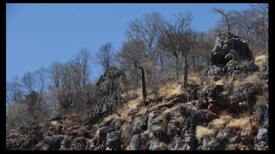 Excursão Peruaçu — foto 54