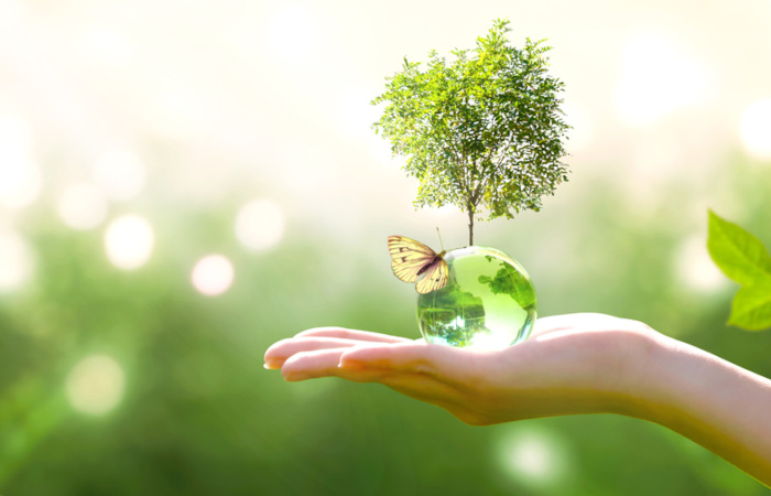 50 Anos do Grupo Alfa